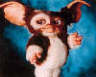 GIZMO